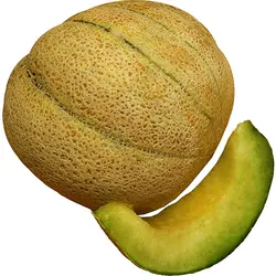 طالبی حدود 1 کیلوگرمی