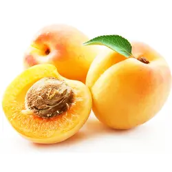 زردآلو معمولی بسته حدود 500 گرمی