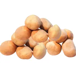 سیب زمینی ریز بسته حدود 850 گرمی(10 تا 15عدد )