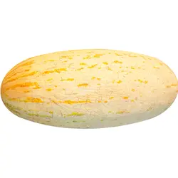 خربزه چابهاری (افغانی) حدود 3/5 کیلوگرمی