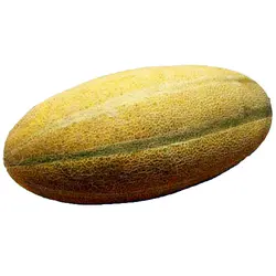 خربزه مشهدی حدود 1 کیلوگرمی