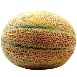 مارشال حدود 3/5 کیلوگرمی