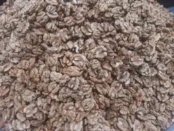 مغز گردو ایرانی - دکتر پاین