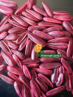 بذرمادرتخمه کانادایی،تخمه امیر - دکتر پاین