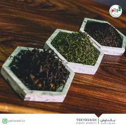 چای سبز - دکتر پاین