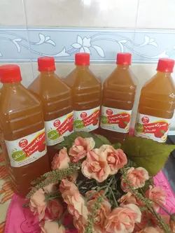 سرکه سیب سحر - دکتر پاین