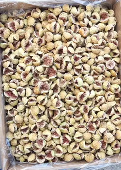 انجیر استهبان - دکتر پاین