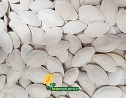 تخمه کدو رژیمی - دکتر پاین