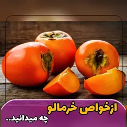 خرمالو - دکتر پاین