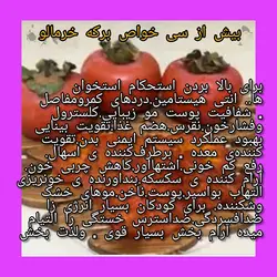 خرمالو - دکتر پاین