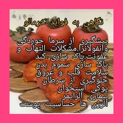 خرمالو - دکتر پاین