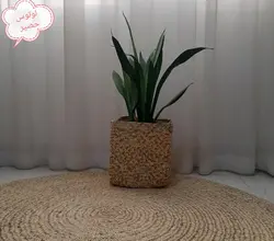 زیرانداز - دکتر پاین