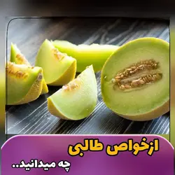 طالبی باملون خشک