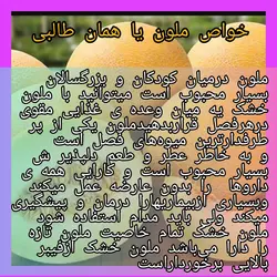 طالبی باملون خشک