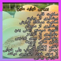 طالبی باملون خشک
