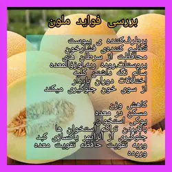 طالبی باملون خشک