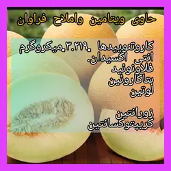طالبی باملون خشک