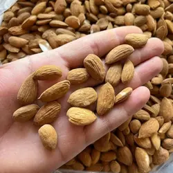 مغز بادام سنگی اورگانیک - دکتر پاین