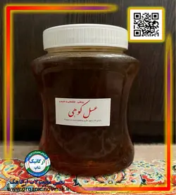 عسل کوهی یک کیلویی - دکتر پاین
