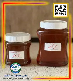 عسل کوهی یک کیلویی - دکتر پاین