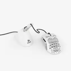 بانجی موس گلوریوس