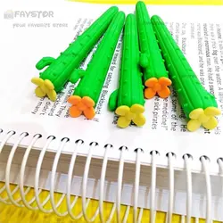 پاکن کاکتوس