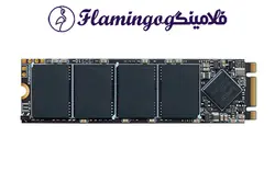 هارد SSD M2 LEXAR NM100 ظرفیت 512 گیگابایت