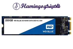 هارد SSD M2 Western Digital Blue ظرفیت 250 گیگابایت