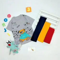 تیشرت تک طرح تدی 13395