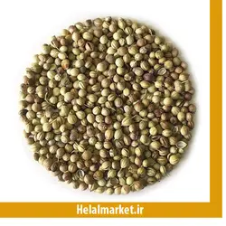 تخم گشنیز