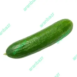 بذر خیار کارلینا