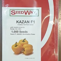 بذر فلفل هیبرید گلخانه ای بذر فلفل هیبرید گلخانه دی با بهترین کیفیت