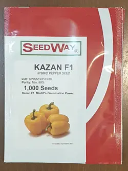 بذر فلفل هیبرید گلخانه ای بذر فلفل هیبرید گلخانه دی با بهترین کیفیت