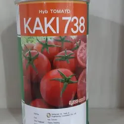 بذر گوجه کاکی ۷۳۸ - آران بذر