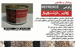 بذر هیبرید گوجه فرنگی رفرنس