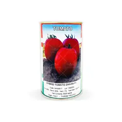 بذر گوجه فرنگی ژیوان - آران بذر