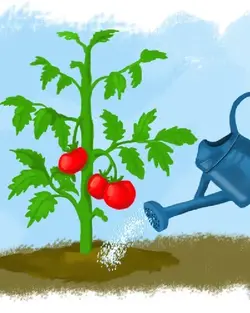 تست قوه نامیه بذر یا درصد جوانه زنی - آران بذر