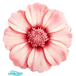 فرش سه بعدی زرباف طرح گلپر