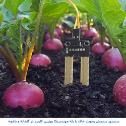 ماژول حسگر تشخیص حرکت مادون قرمز با رله مهندسیکا مدل Soil moisture