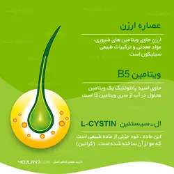 قرص پریورین بایر آلمان