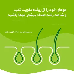 قرص پریورین بایر آلمان