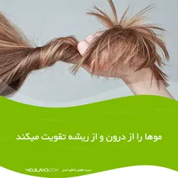 قرص پریورین بایر آلمان