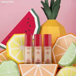 کانسیلر بورژوآ مدل Healthy Mix شماره 51