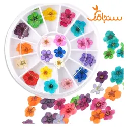 پک اسپیره وارداتی - فروشگاه گل خشک سنجاقک