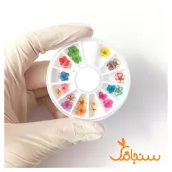 پک اسپیره وارداتی - فروشگاه گل خشک سنجاقک