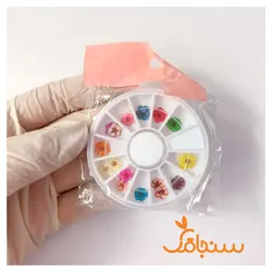 پک اسپیره وارداتی - فروشگاه گل خشک سنجاقک