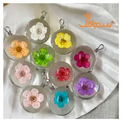 پک اسپیره وارداتی - فروشگاه گل خشک سنجاقک