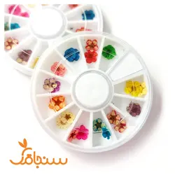 پک اسپیره وارداتی - فروشگاه گل خشک سنجاقک