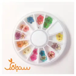 پک اسپیره وارداتی - فروشگاه گل خشک سنجاقک