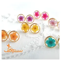 پک اسپیره وارداتی - فروشگاه گل خشک سنجاقک